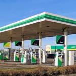 Trójka BP Profile Picture