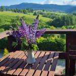 Wilcza Jama Camper Stop, Punkt Serwisowy Profile Picture