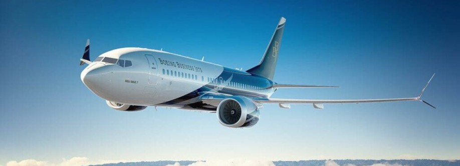 Book Budget Flight Cover Image