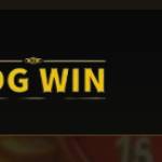 bdg game Profile Picture